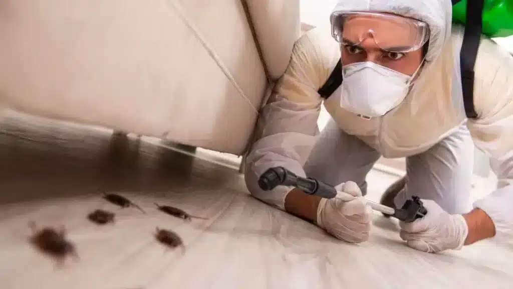 Residential Cockroach Control Oakville