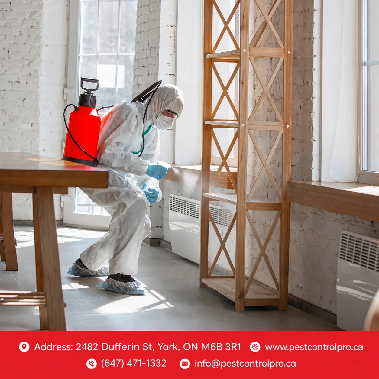 Residential Pest Control Services near me East York