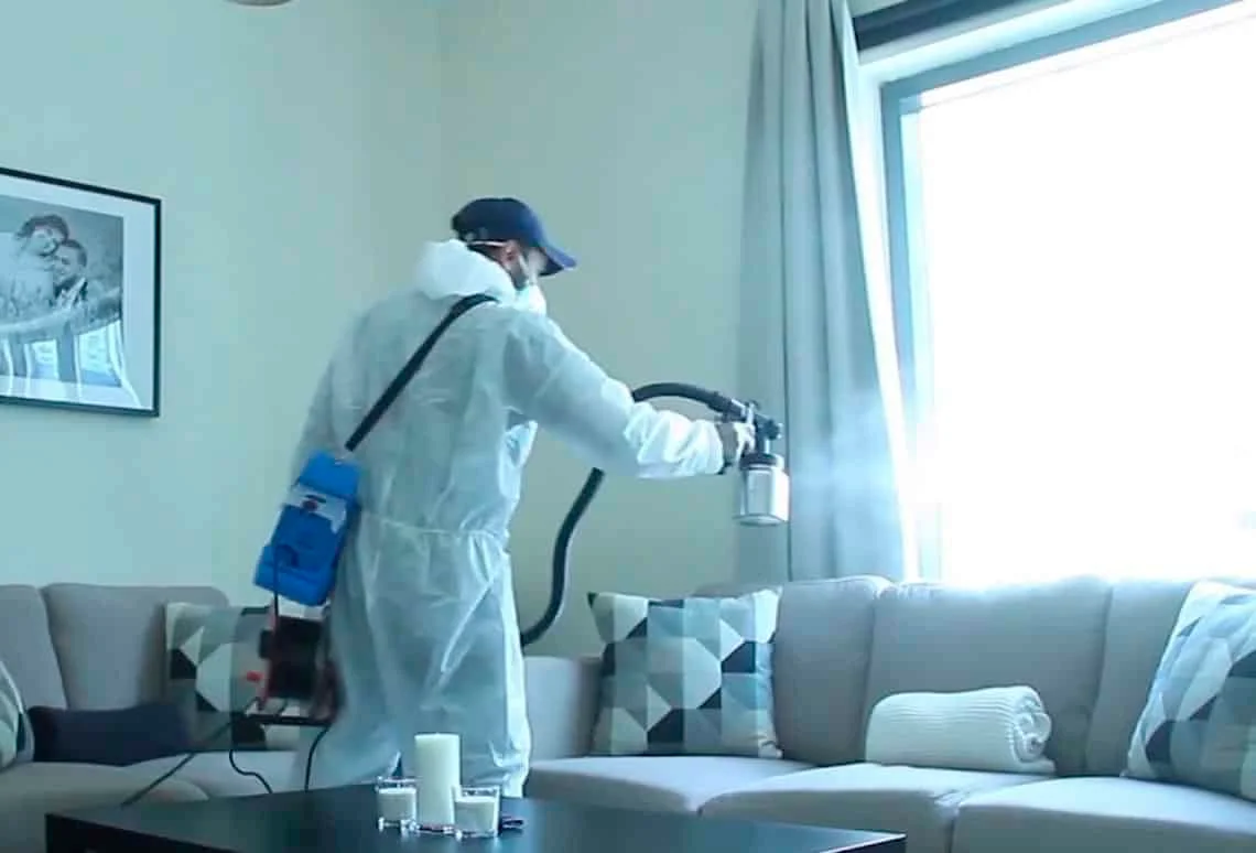 Store-Bought Sprays Fail Against German Cockroaches in East York, ON