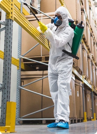 Trusted Commercial Pest Control Service Lawrence Heights