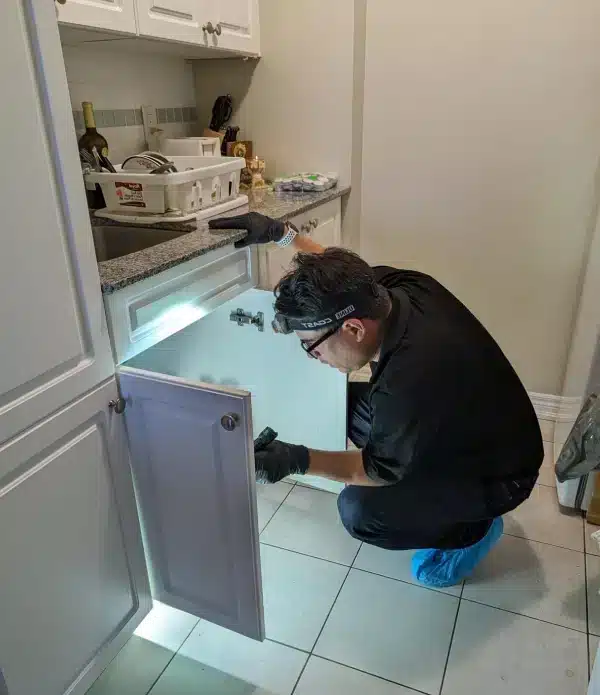 Trusted Pest Control Services near me North York, ON