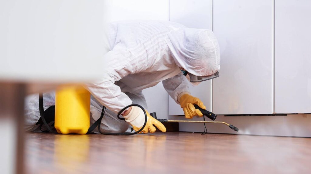 Certified Residential Pest Control Lawrence Heights