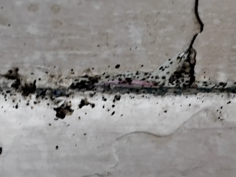 Eggs and Evidence in Ajax