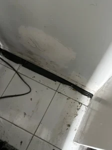Mice Control Inspection At Clinton St Home by Pest Control Pro