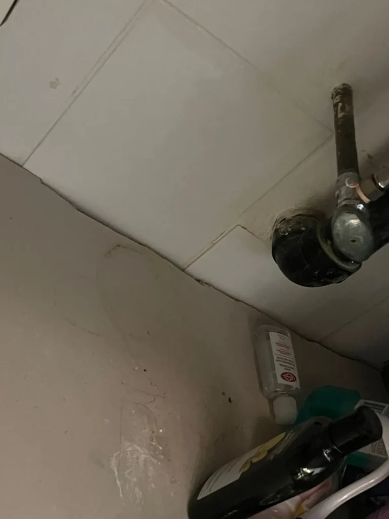 Mouse Entry Point Sealing Clinton St by Pest Control Pro
