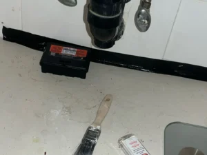 Pest Control Pro Mice Exclusion Work by Pest Control Pro