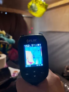 Professional Temperature Check by Pest Control Pro