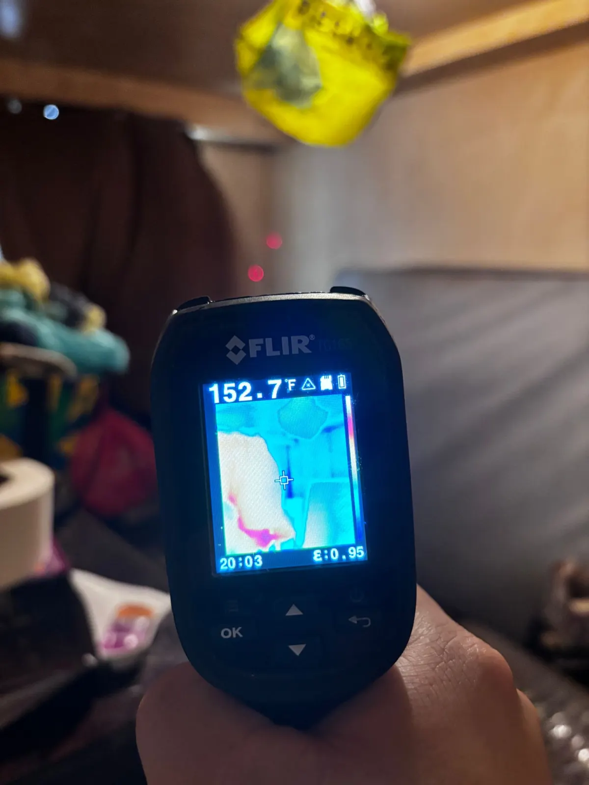 Professional Temperature Check by Pest Control Pro
